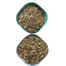 Best Quality Sunflower Seeds Type 363/361