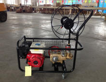 Gasoline Engine Agriculture Power Sprayer
