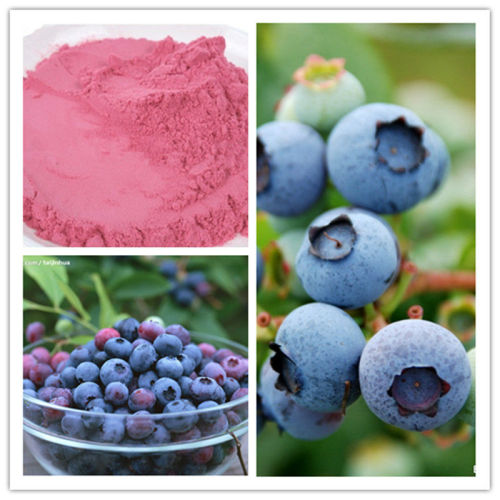 100% Natural Spray Dried Blueberry Juice Powder