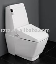 Electronic bidet TZ-8701
