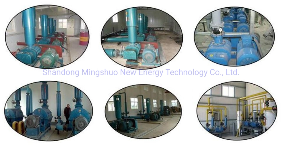 Biogas Blower for Biogas Plant Before Gas Generator