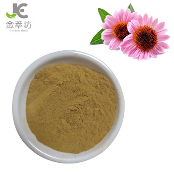 factory supply natural echinacea angustifolia extract 2% 4% chichoric powder