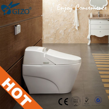 Apartment bathroom WC toilet