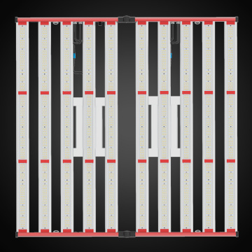 1000Wライトコマーシャル10 bar lm301bを栽培します