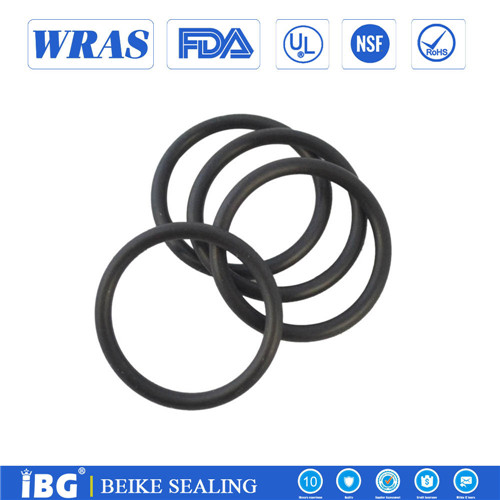 Rubber O Ring21