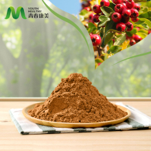 Rose Hip Extract for Anti Aging Skincare