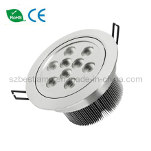 Nice Look Bright LED Down Light