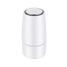 2024 New mini fashion Clean Air car anion air purifier