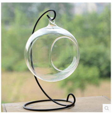 Wholesale Clear Glass Round Terrarium With Wood Base