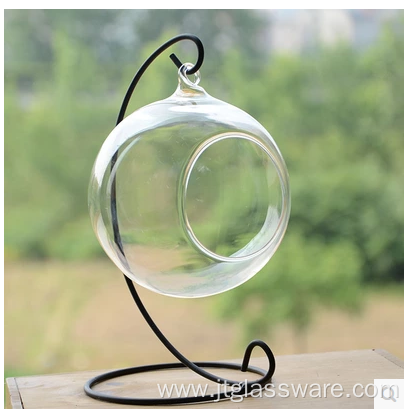 Wholesale Clear Glass Round Terrarium With Wood Base