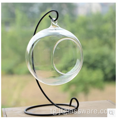 Яклухт Clear Glass Terrarium мудаввар бо Пойгоҳи ҳезум