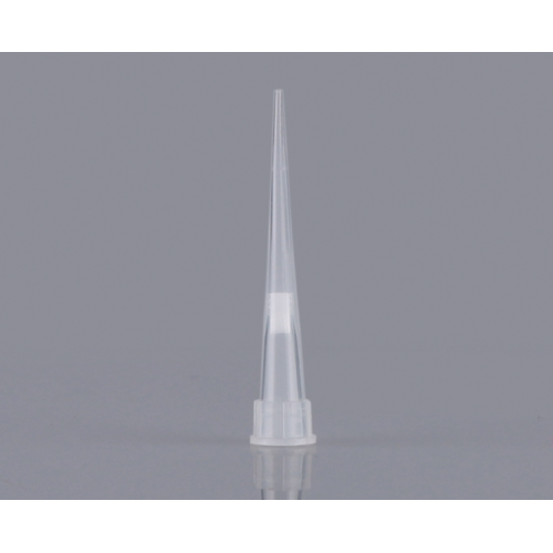 10UL Filter Universal Pipette Tips Racked