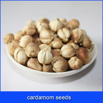 white cardamom seeds