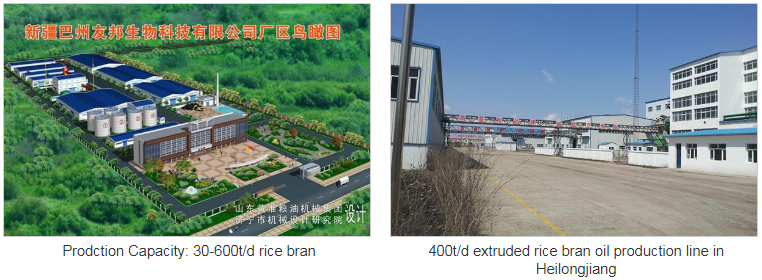 Reis-Kleie-Öl-Fertigungsstraße Rice Bran Oil Production Line