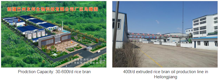 Rice Bran Oil Production Line