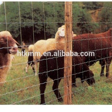 Sheep & goat fence