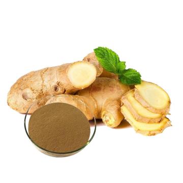 Natural ginger root extract herbal supplement