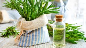 rosemary oil1