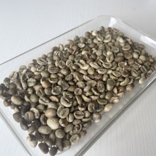 Vietnam Robusted Robusta Green Beans