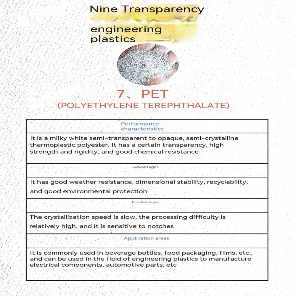BICHO DE ESTIMAÇÃO PET