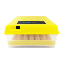 Automatic Mini Chicken Eggs Incubator with Humidifier