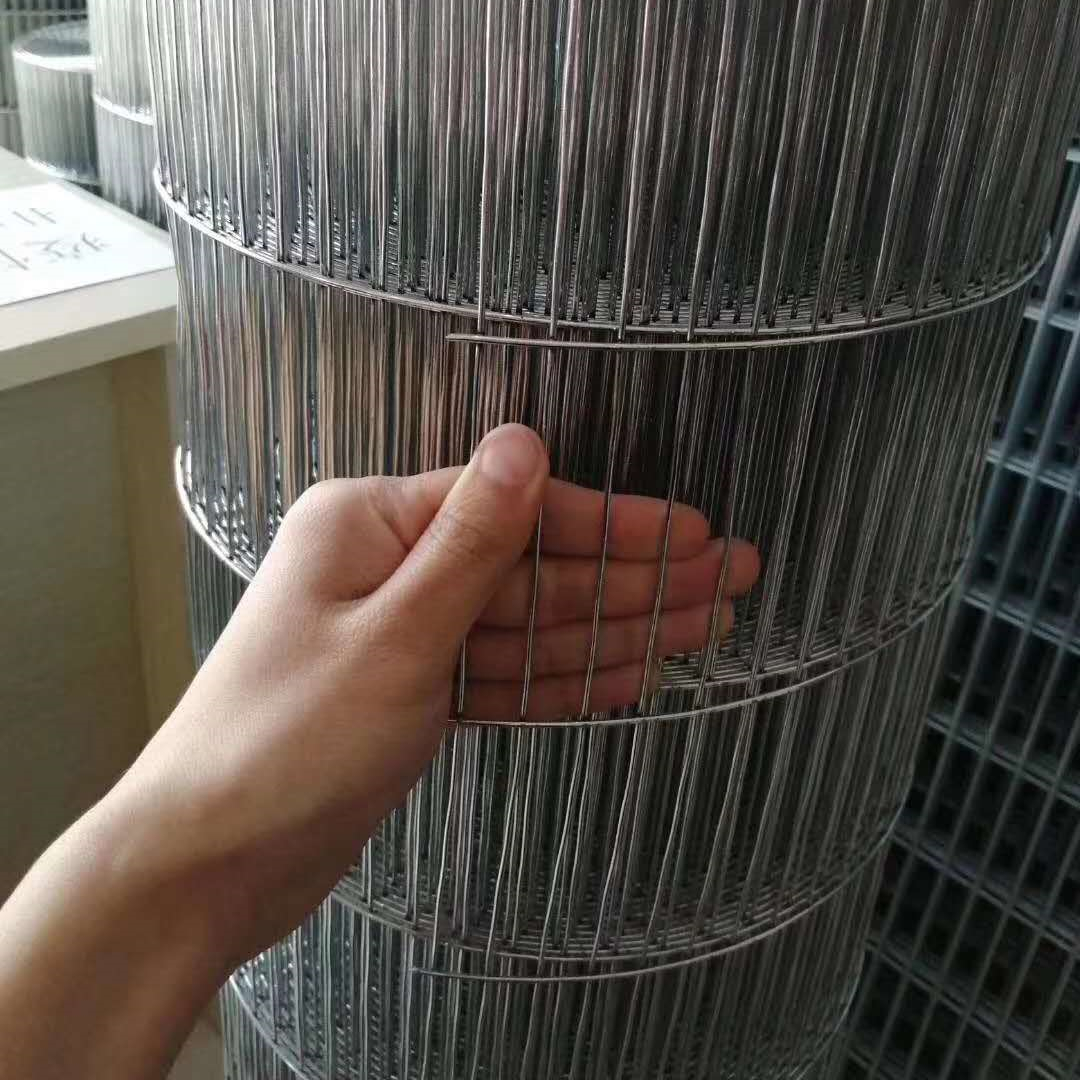 YQ Galvanized Welded Wire Mesh untuk Pertanian atau Sangkar Burung untuk Konstruksi Perlindungan