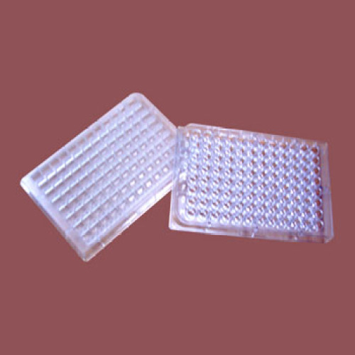Acrylic Transparent Molding