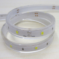 IP68 Impermeabile Led Strip luce 3014SMD