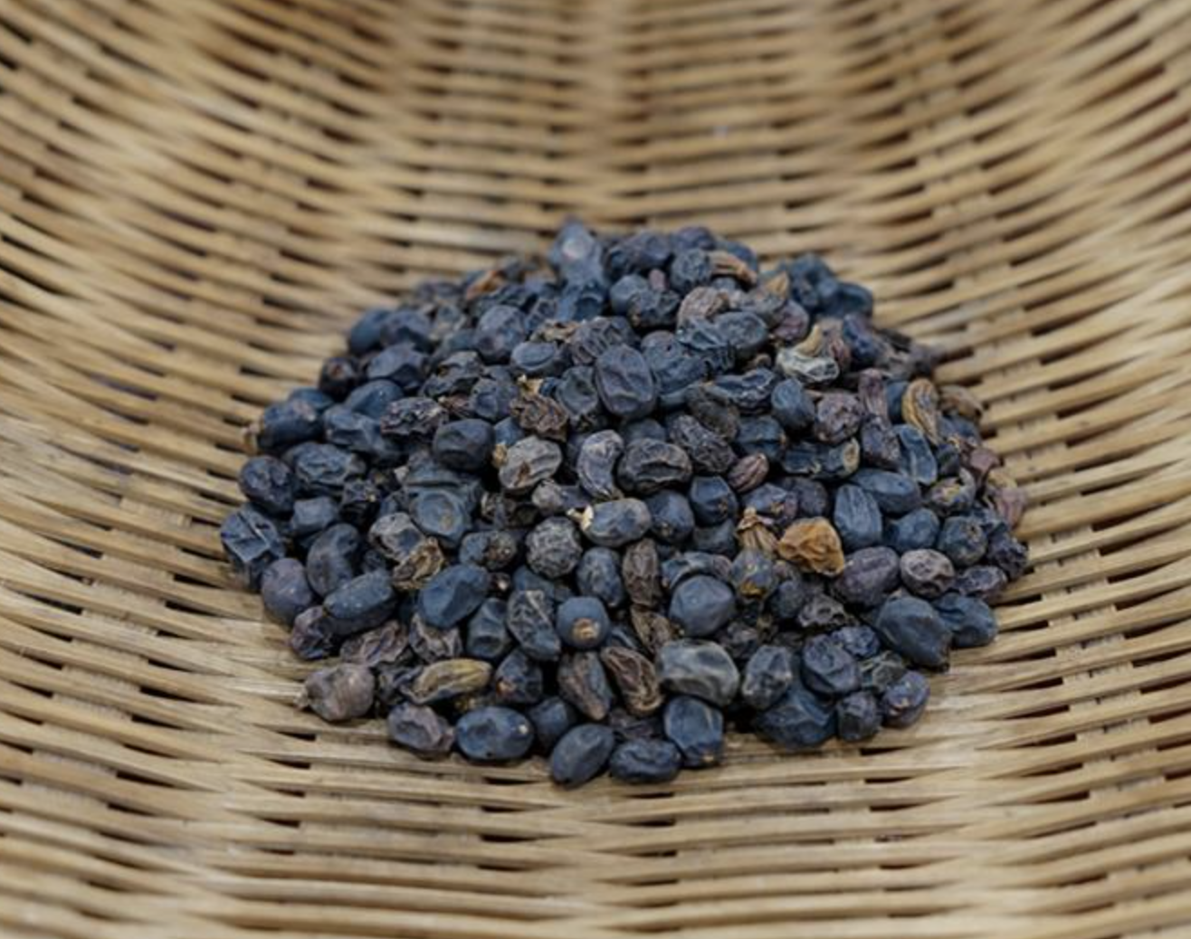 مستخلص ليغستروم لوسيدوم Ligustrum Lucidum Extract