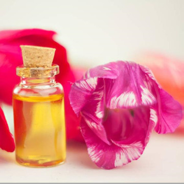 Fast Delivery Tulip Essential Oil