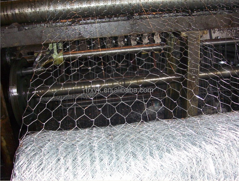 galvanized Chicken wire