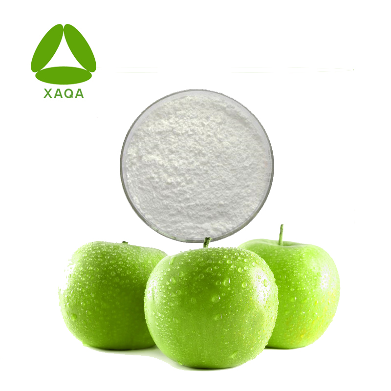 Extrato de maçã verde 98% pó de phloridzin 60-81-1