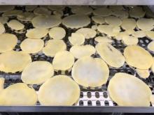 Dry/dried vegetables/heat pump air drying vegetables