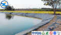 HDPE Pond Liners Άκαμπτα διαφανή φιλμ HDPE