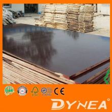 Phenolic film faced plywood for concrete mold