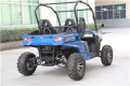 500CC ферма UTV