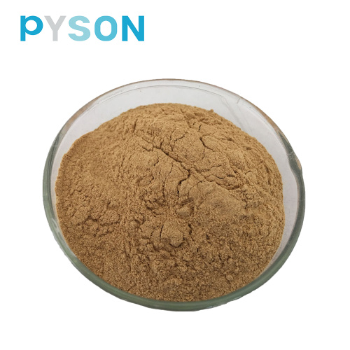 European standard Soybean extract