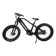  cmpromo electric fat tire bike with rohloff 14 speeds internal gear hub 