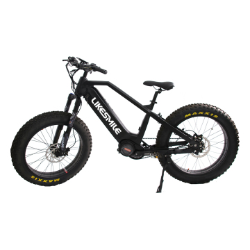 cmpromo electric fat tire bike with rohloff 14 speeds internal gear hub 