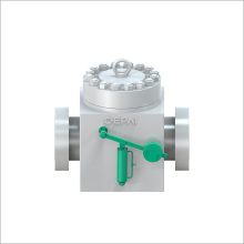 Swing check valve