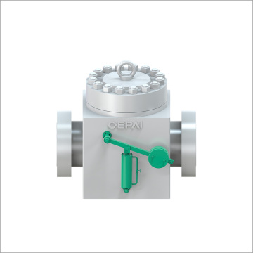 Swing check valve