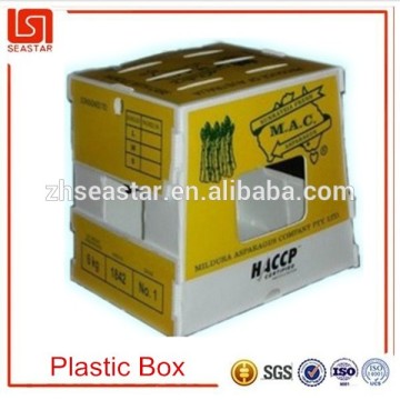 Best quality plastic vegetable box made in China