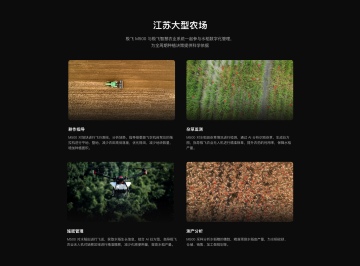 Test product watermelon