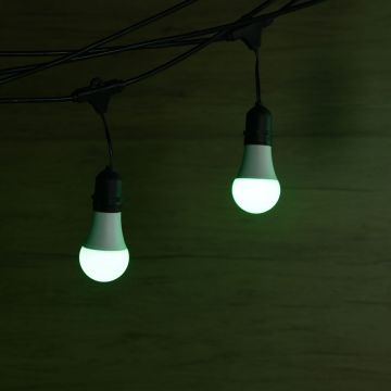 Garden String Lighting Decorative Festoon String Light