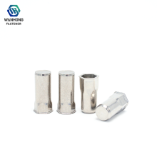 Stainless Steel Blind Hole Fastener with Hex Head