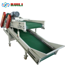 Plastic/PP Chain Conveyor Belt