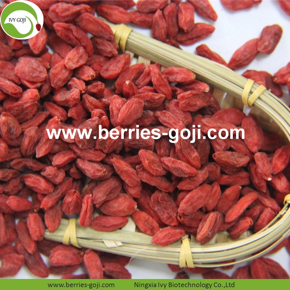 goji berry