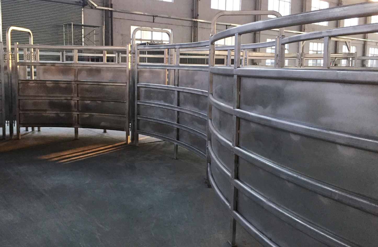 Livestock Cattle Curved Race Panels