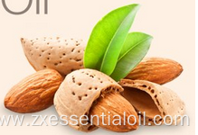 Factory supply pure natural sweet almond carrier oil bulk