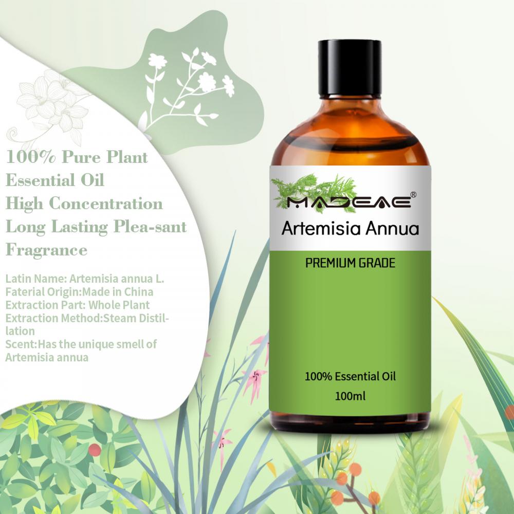 Al por mayor calidad de la mejor calidad 100% pura natural Artemisia Annua Extract Oil